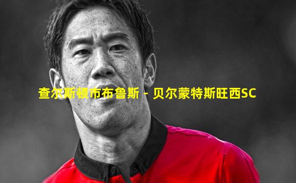 查尔斯顿市布鲁斯 - 贝尔蒙特斯旺西SC